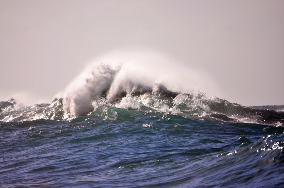 Myrtle Beach Vacation Rentals: Your Guide to Oceanfront Condos & Family Homes