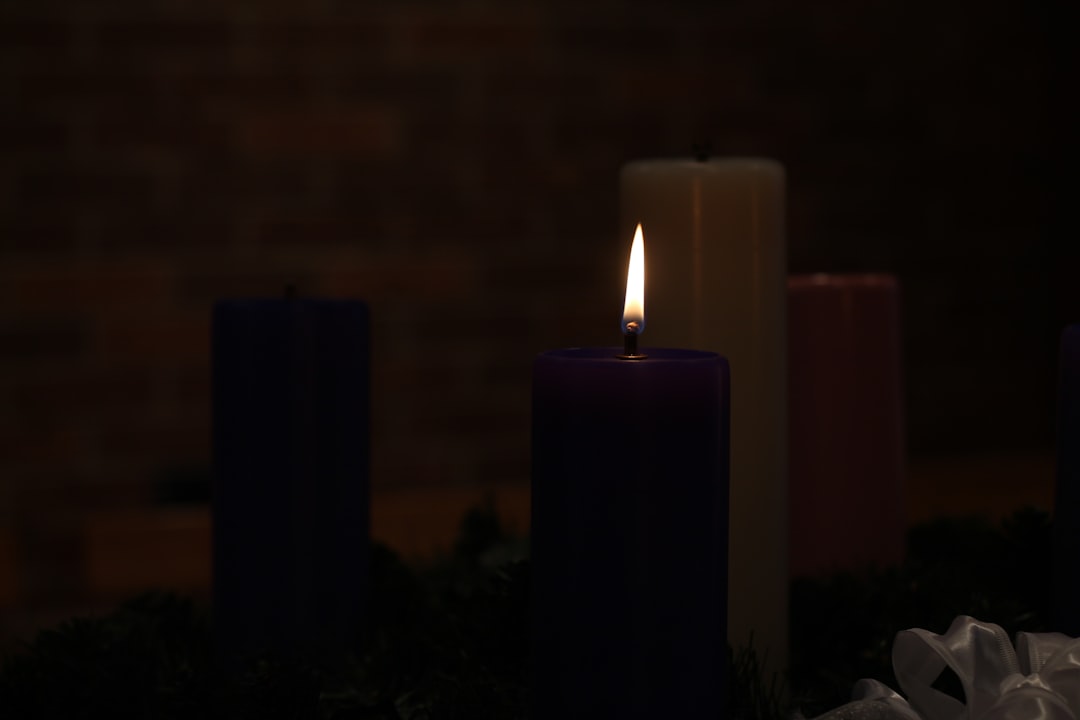 National Lampoon Christmas Vacation Cast: Behind the Scenes & Character Guide