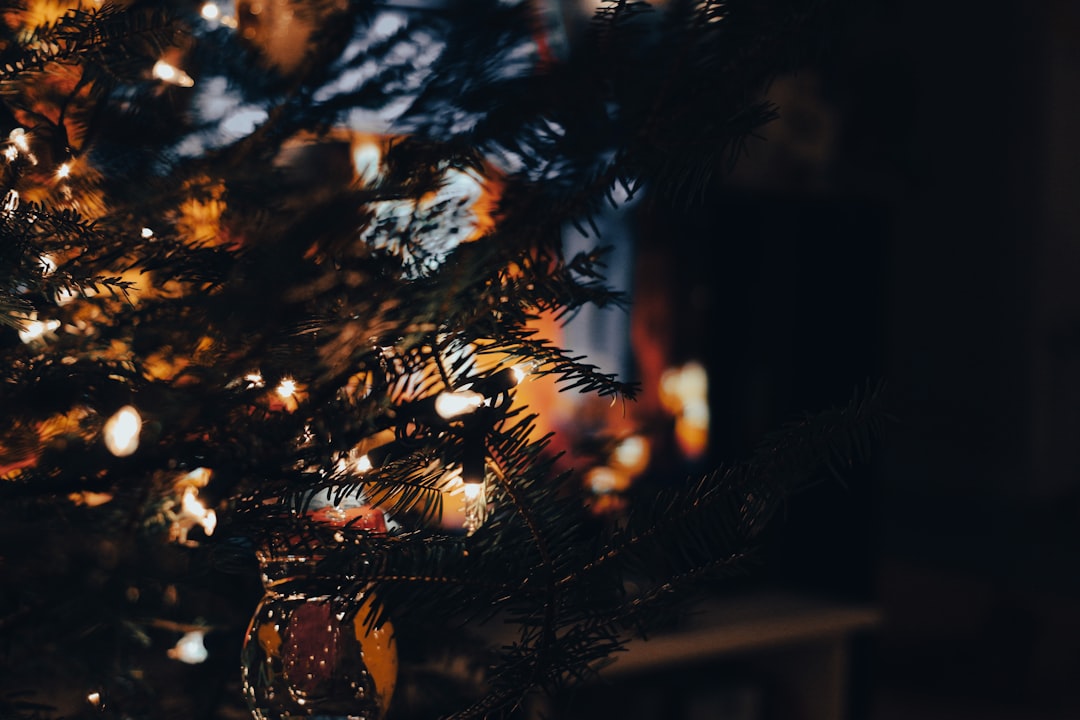 National Lampoon Christmas Vacation: Ultimate Guide to Holiday Chaos & Fun