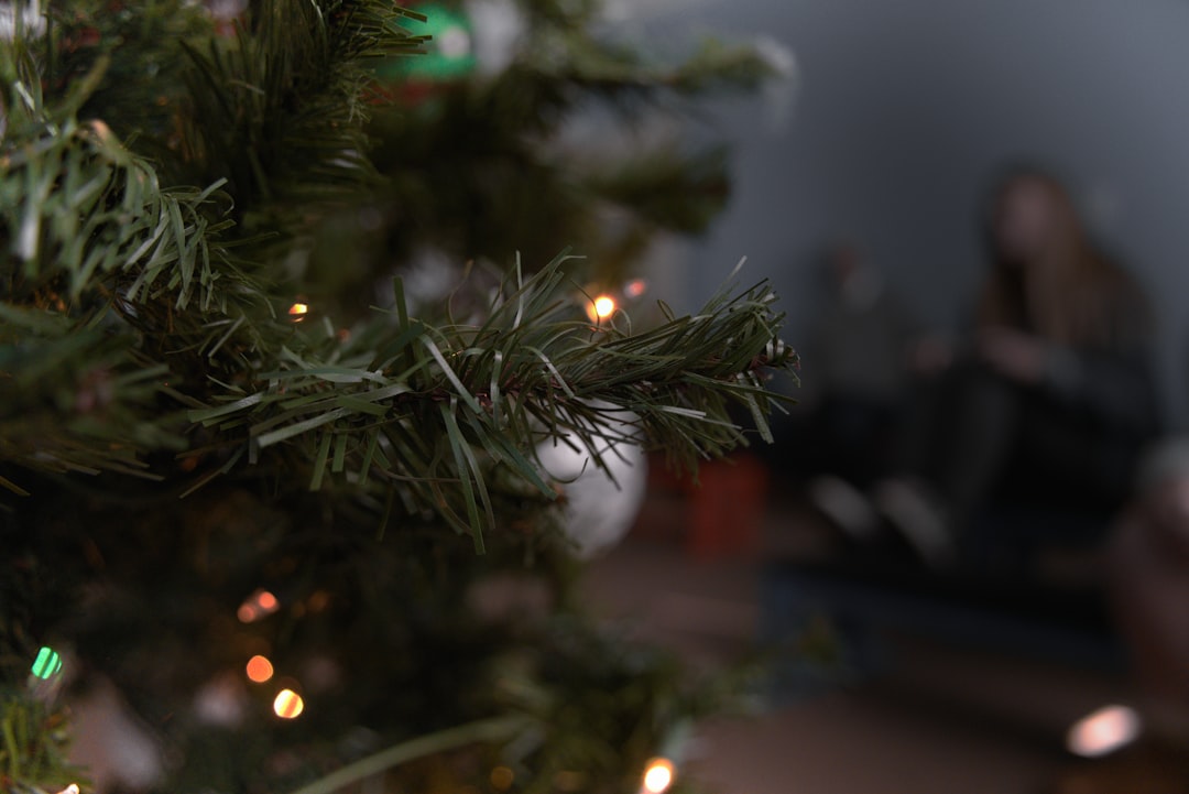 New Christmas Vacation Movie Guide: Festive Films & Travel Tips