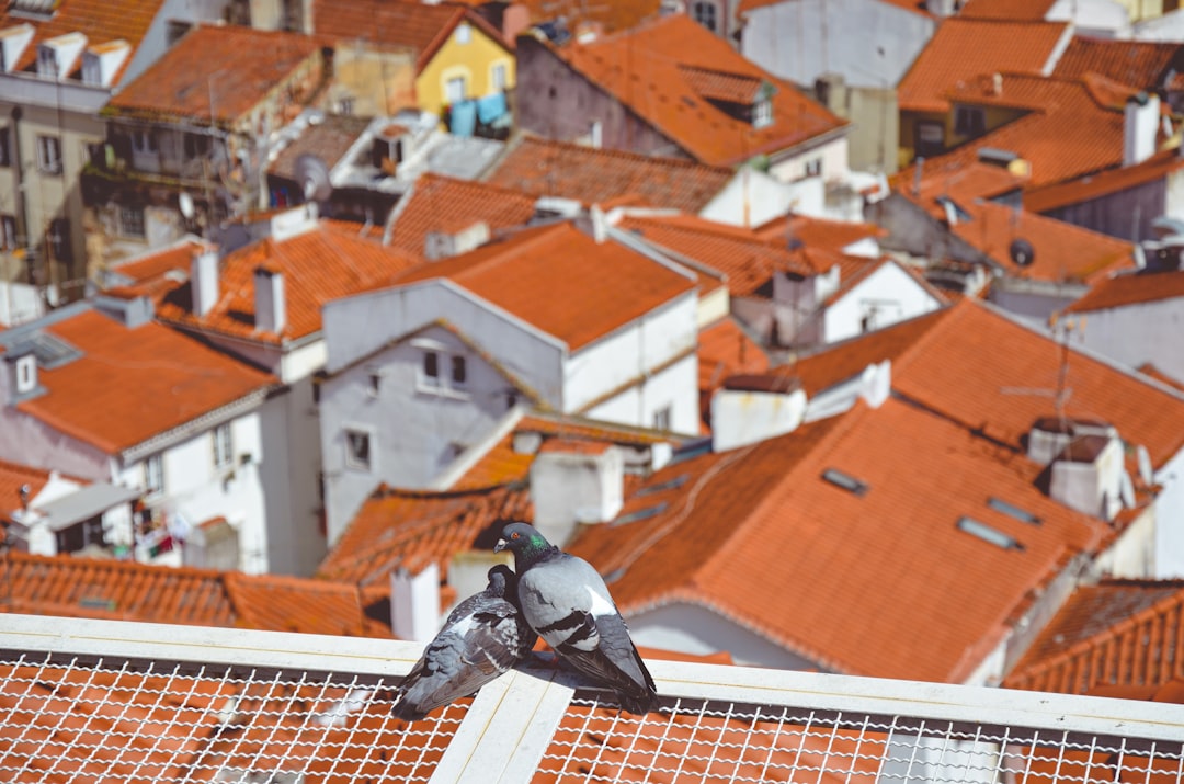 New Roof Monthly Payments: Financing Options & Costs