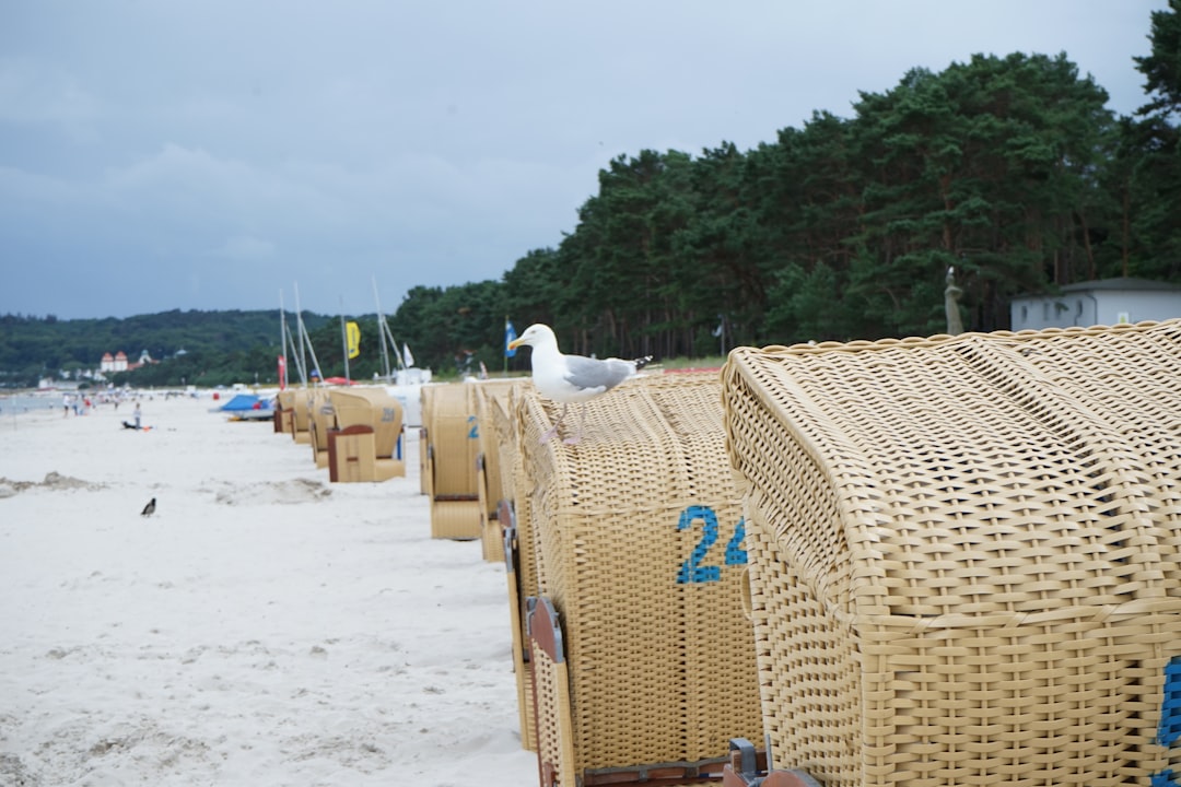 North Myrtle Beach Vacation Rentals: Oceanfront Homes & Condos