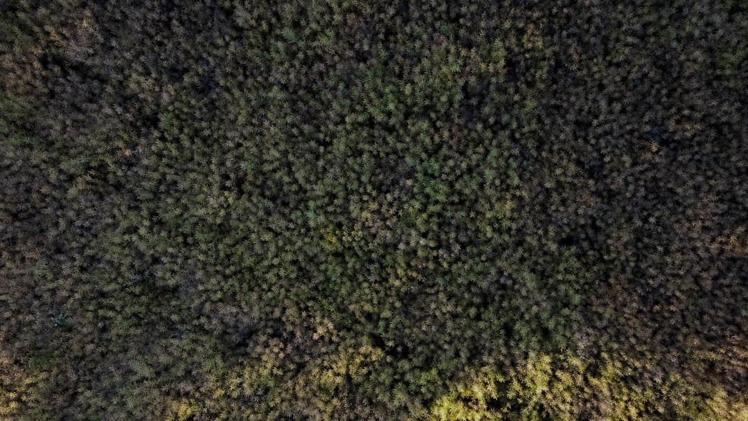 NYC Mayor's Albania Trip Sparks Ethics Reform Debate