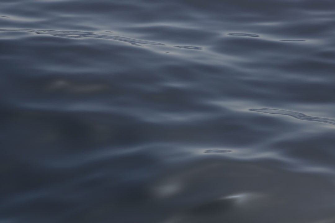 Your Dream OBX Vacation Home: Coastal Rentals & Planning Guide