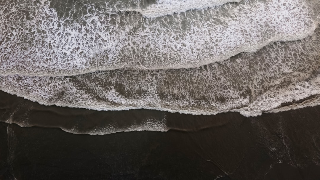 OBX Vacation Home Guide: Find Your Perfect Outer Banks Rental