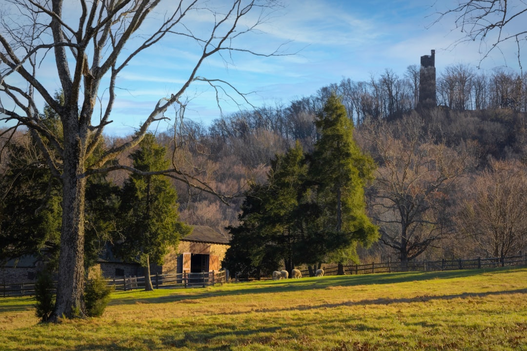Ohio's Hidden Peace Paradise Revealed
