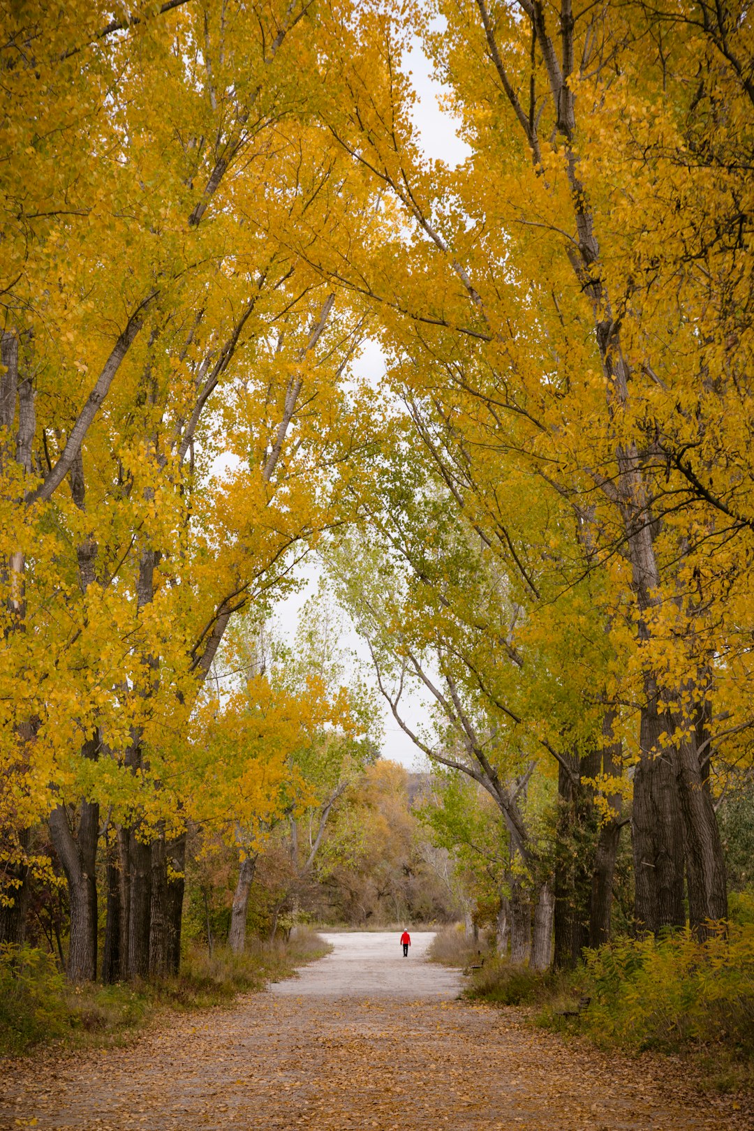 Omaha's Hidden Gems Revealed: October 17 Magic