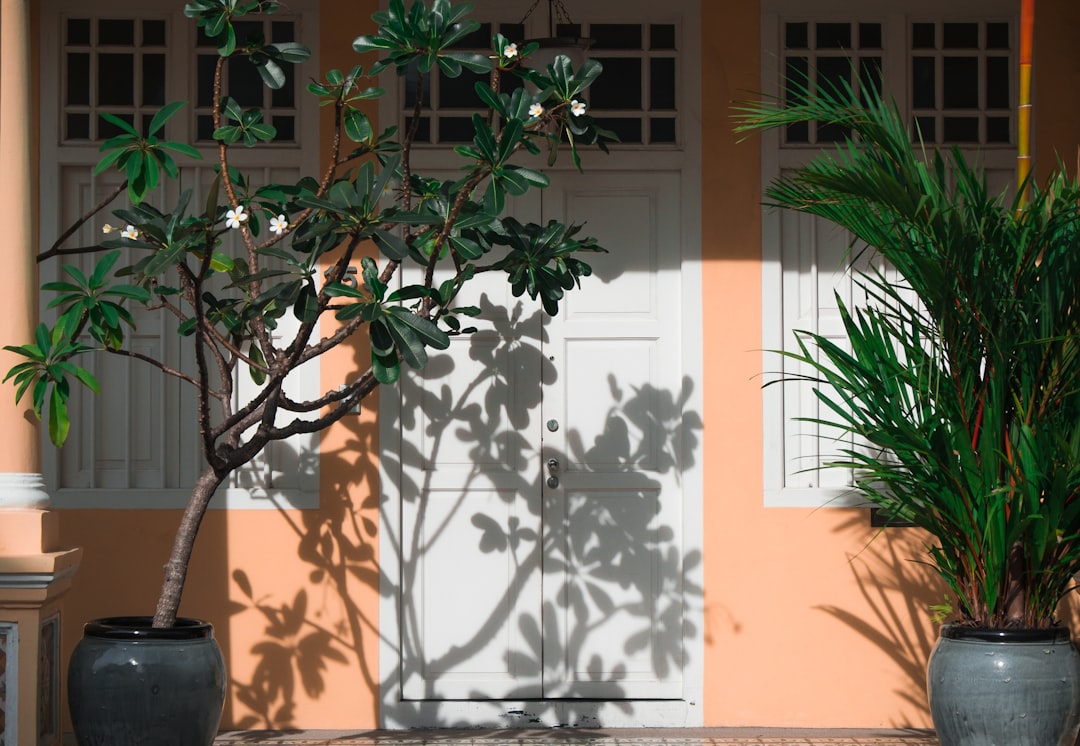 Orange Beach Vacation Rentals: Your Guide to Coastal Getaways & Family Fun