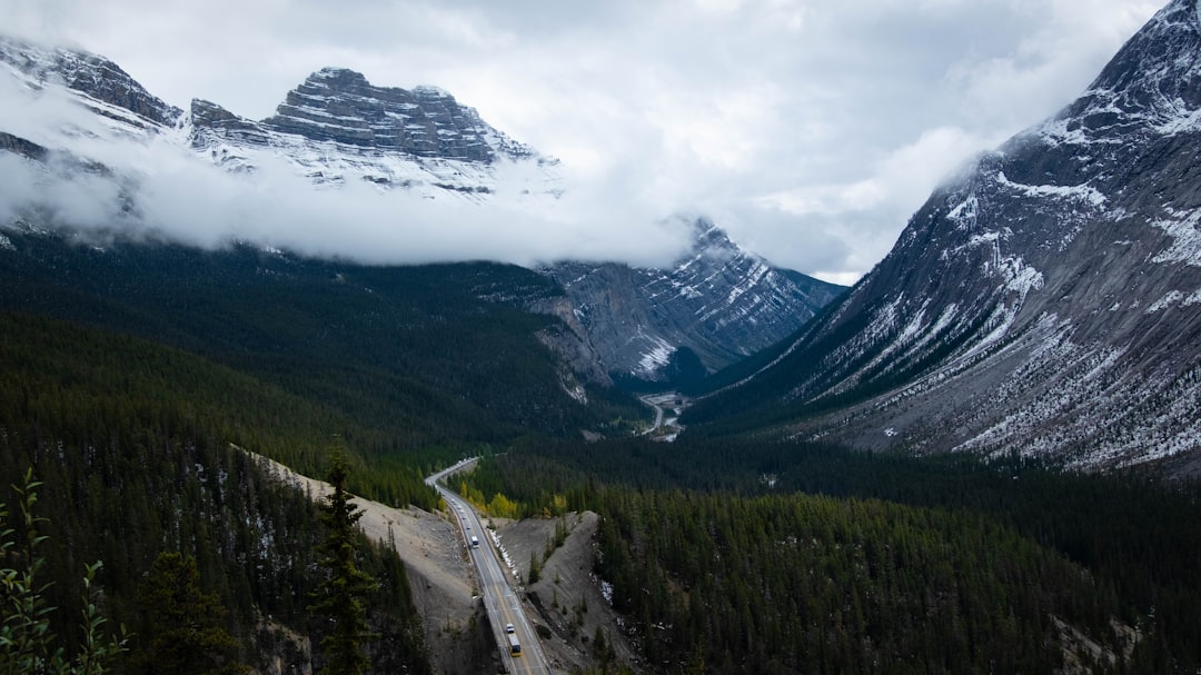 Outbound Travel Demand Surges for US & Canadian Travelers