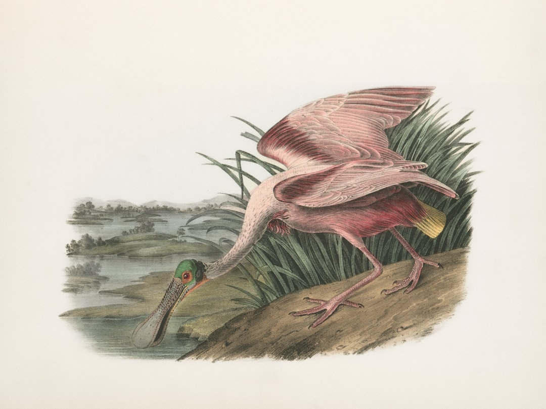 Packers' Flight Nightmare: 5-Hour Delay Chaos