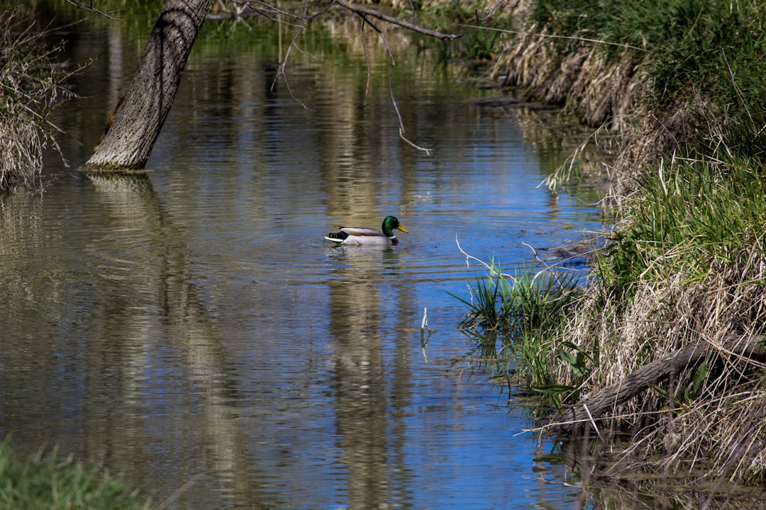 Paddling Paradise: Nebraska's Hidden Water Wonderland Revealed