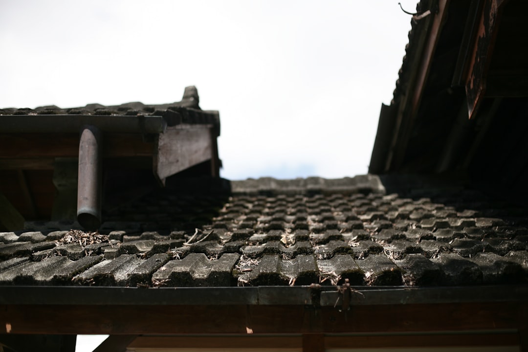 Patch Roof Leak Guide: Emergency Repair & Materials