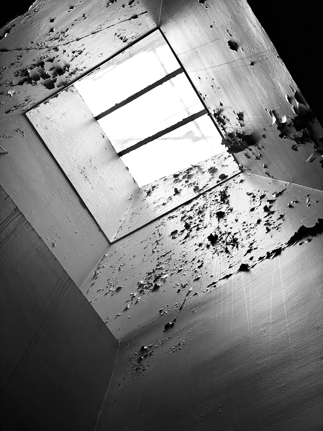 Patch Roof Leak Guide: Emergency Repair & Storm Damage Solutions