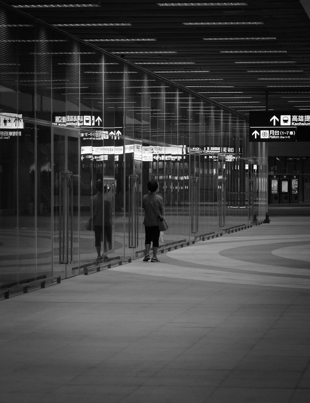 Paws for Peace: How DTW's Therapy Dogs Transform Travel Stress