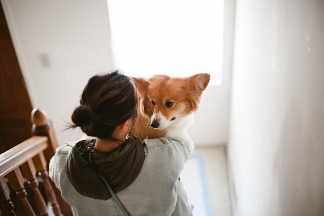 Pet Friendly Vacation Homes: Ultimate Guide & Top Destinations