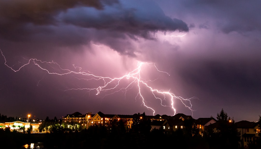 Public Roof Adjuster Guide: Insurance Claims & Storm Damage Help