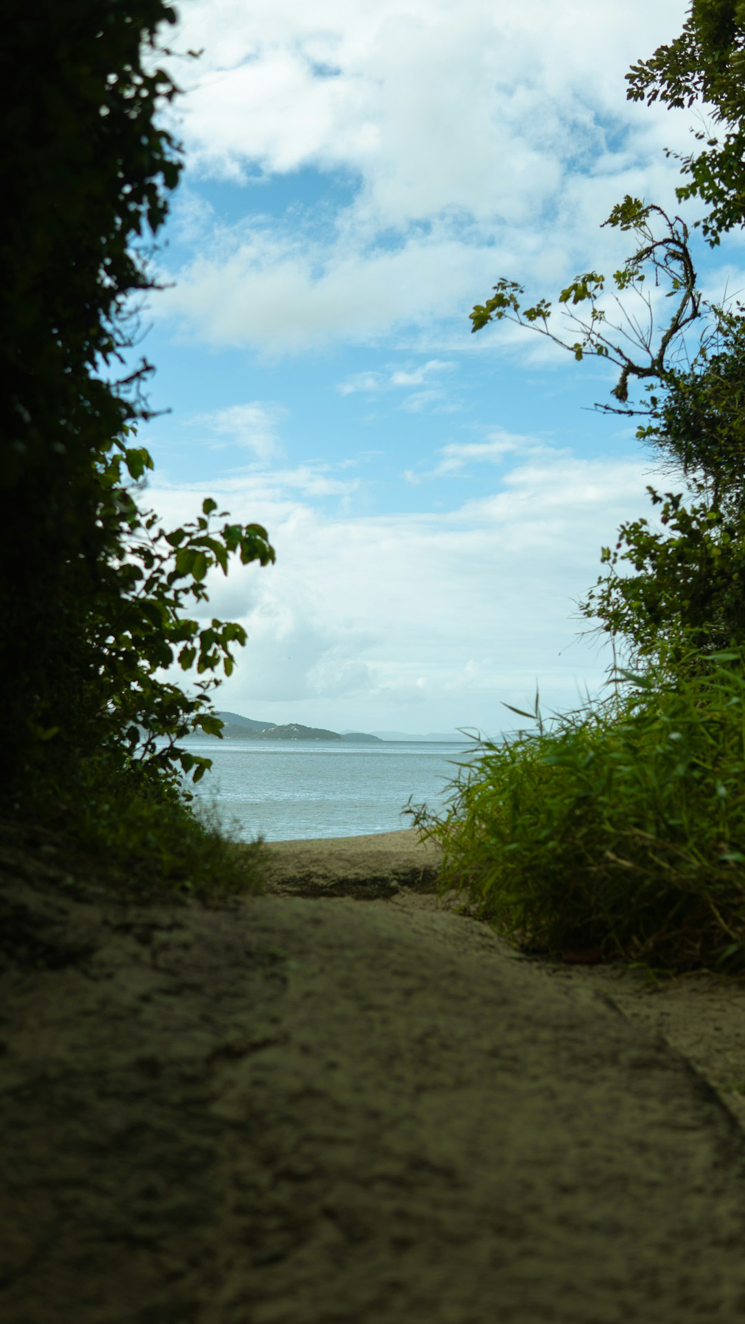 Puerto Rico Vacation Packages: Tropical Getaways & Island Tours