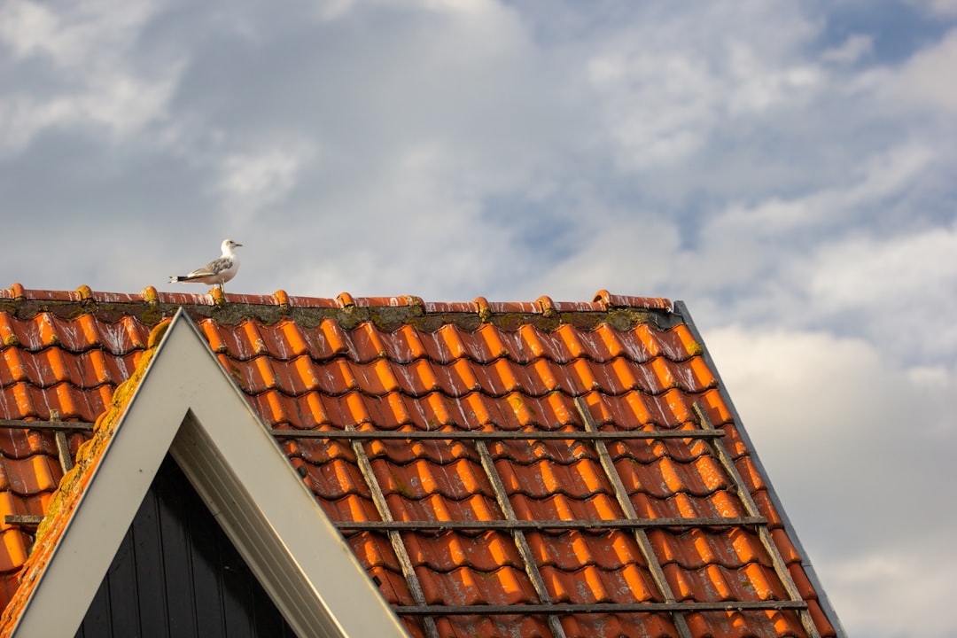 PV Roof Tiles Guide: Solar Energy & Roof Replacement Costs
