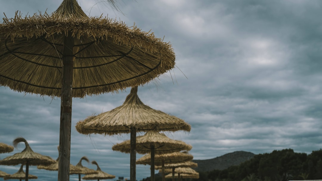 Quality Vacation Club Login Guide: Access Your Membership & Travel Benefits