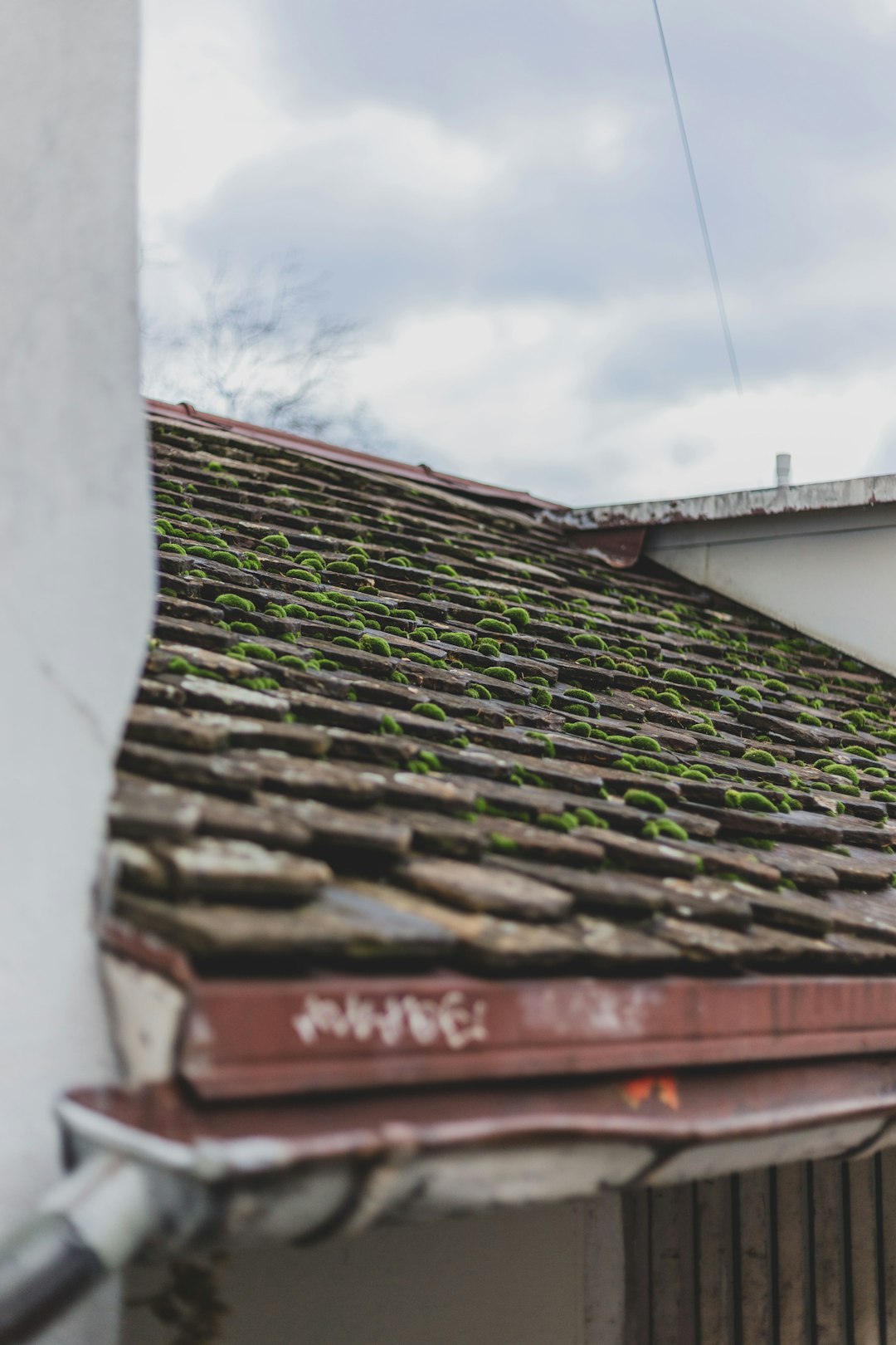 Replacement Garage Roofs Near Me: Expert Guide & Cost Analysis