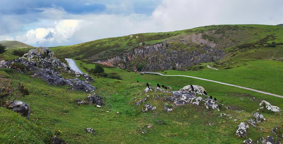 Rodgers' Irish Travel Troubles: Why Your Trip Might Fail Too