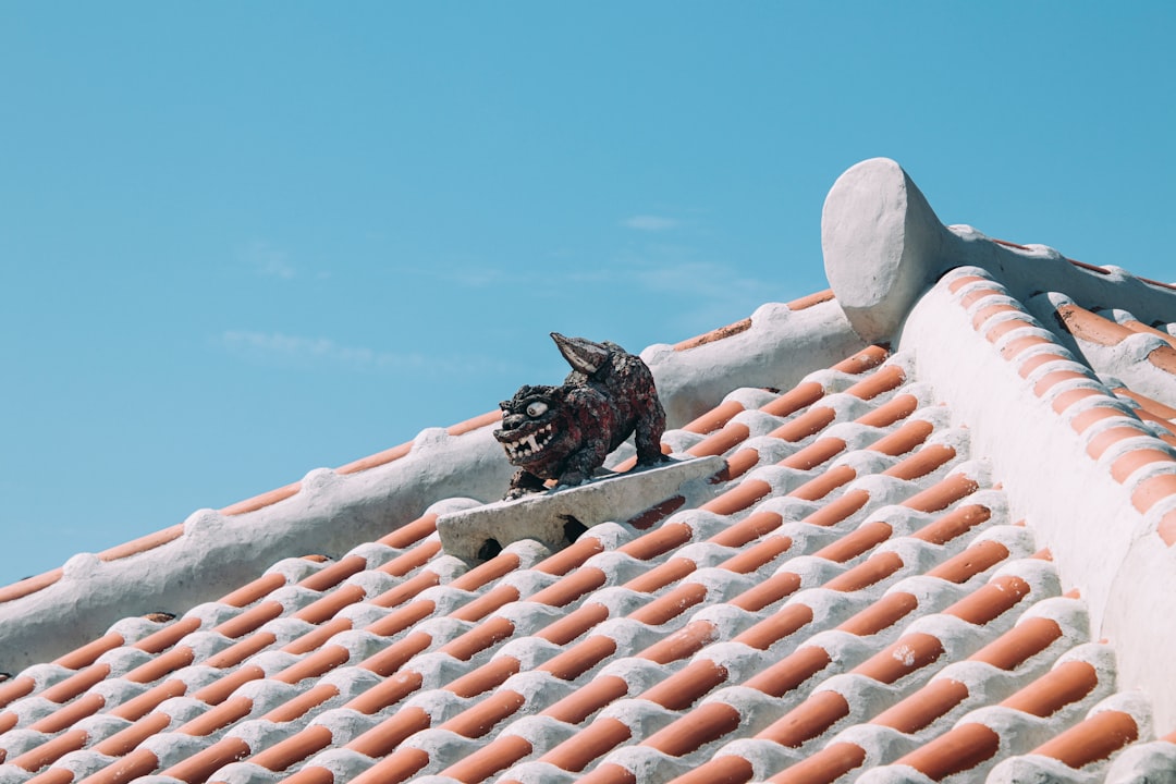 Roof Company Near Me: Expert Tips & Local Solutions