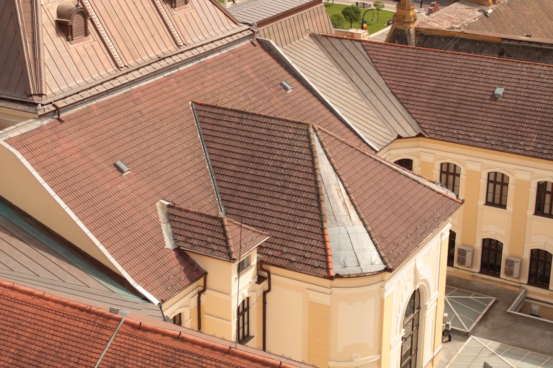 Roof Gully Repair Guide: Leak Prevention & Cost Solutions