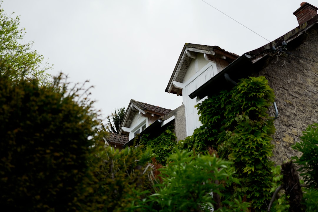 Roof Insurance Repairs Guide: Storm Damage Claims
