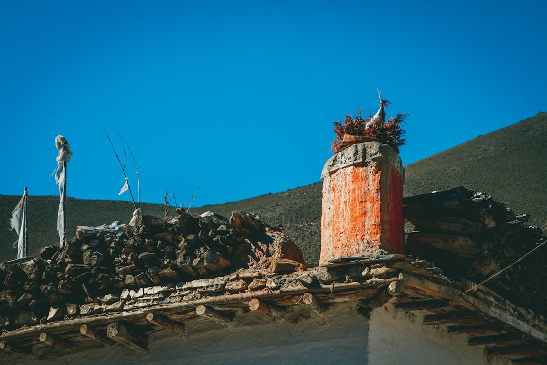 Roof Leak Claim Insurance Guide: Storm Damage & Repair Costs