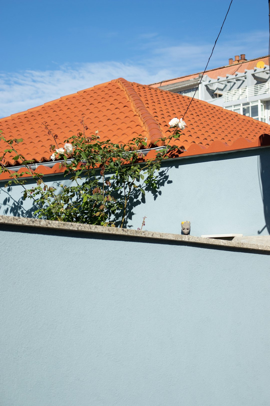 Roof Maintenance Cost Guide & Budget Tips