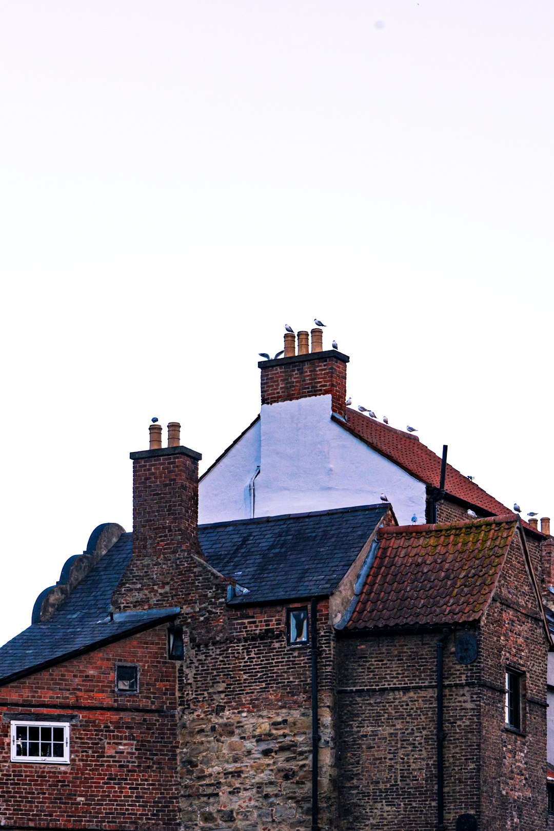 Roof Repair in Burlington: Expert Storm Damage & Leak Solutions