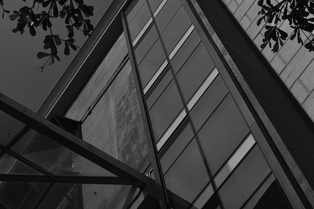 Roof Repair Through Insurance: A Complete Guide for Homeowners