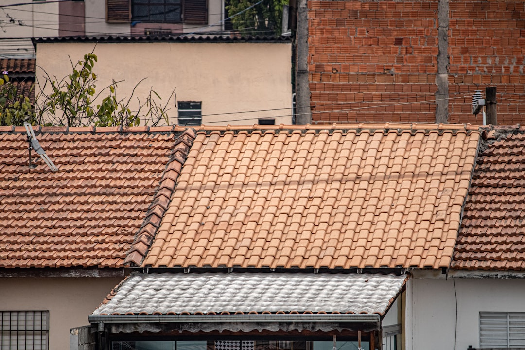 Roof Replacement Contractor Guide: Expert Tips & Cost Insights