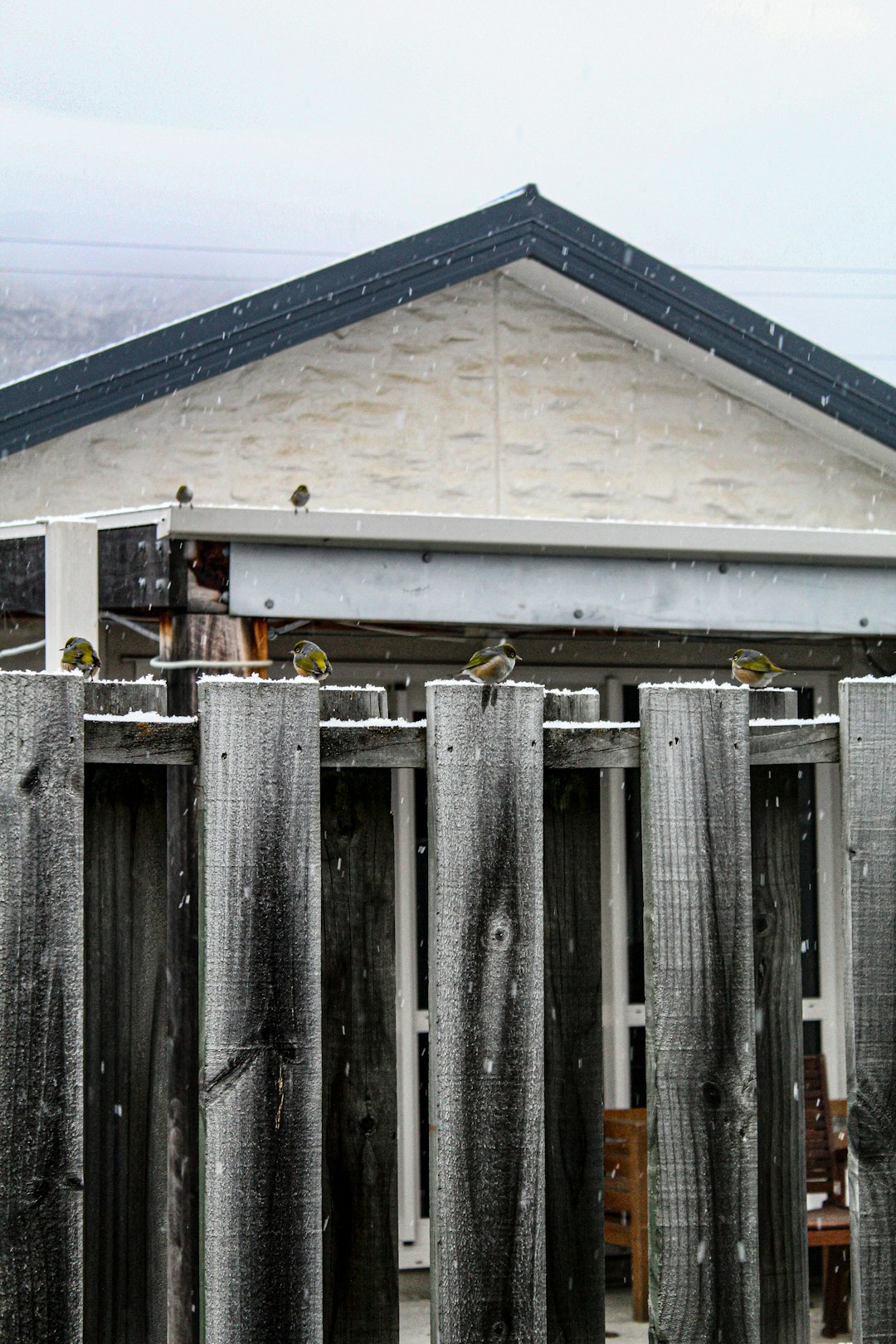 Roof Replacement Insurance Guide: Storm Damage Claims & Homeowner Protection