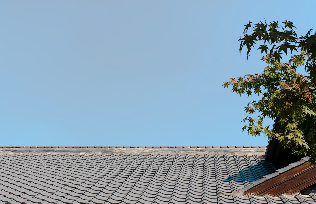 Roof Repointing Guide: Extend Roof Life & Prevent Leaks