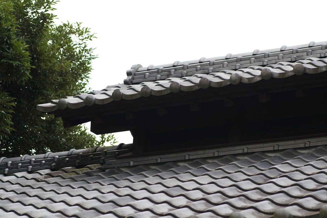 Roof Shingle Repair Near Me: Expert Storm Damage Solutions