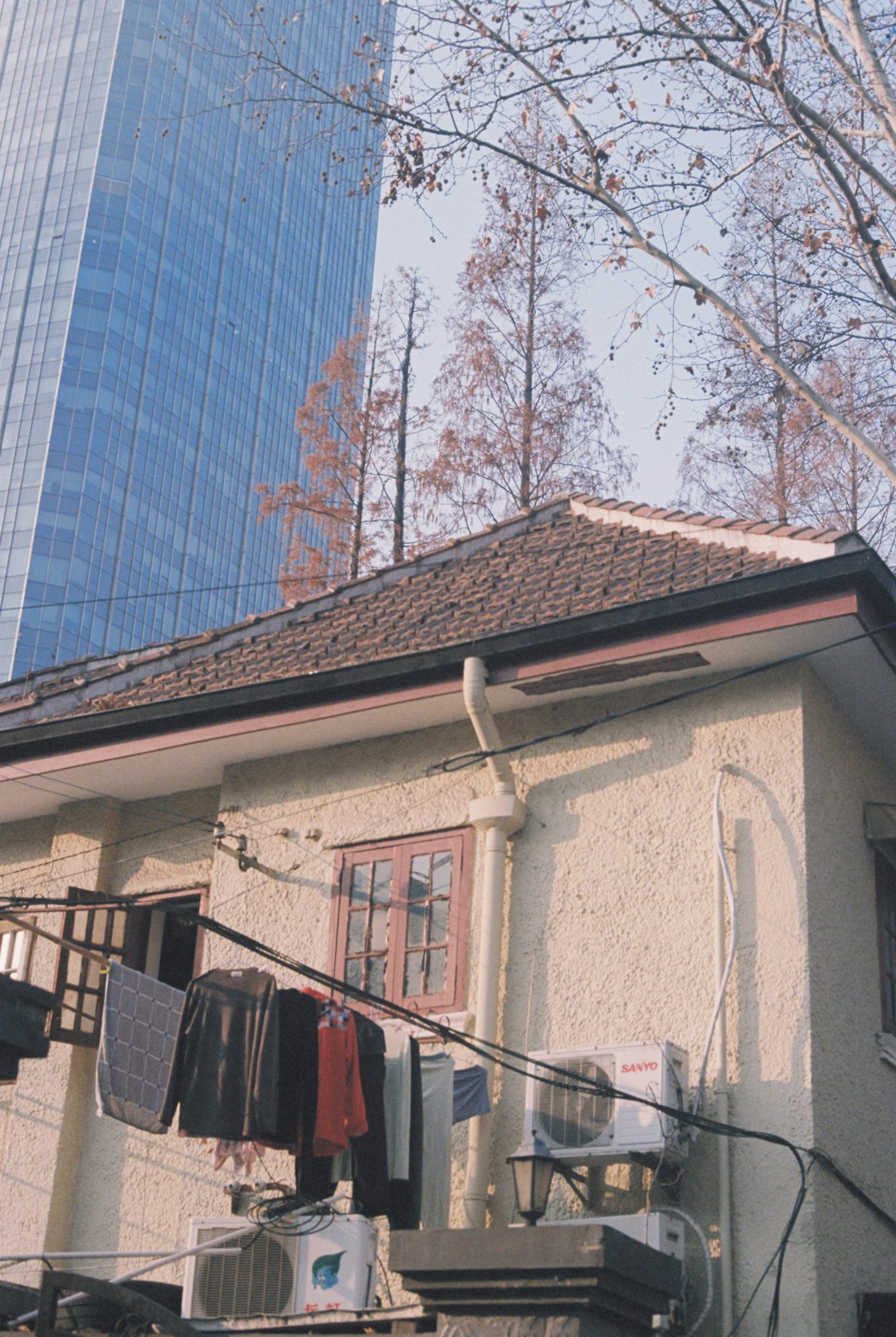 Roof Tile Replacement Near Me: Expert Guide & Local Solutions