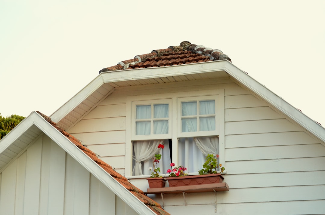 Roof Tune Up Guide: Prevent Leaks & Extend Lifespan