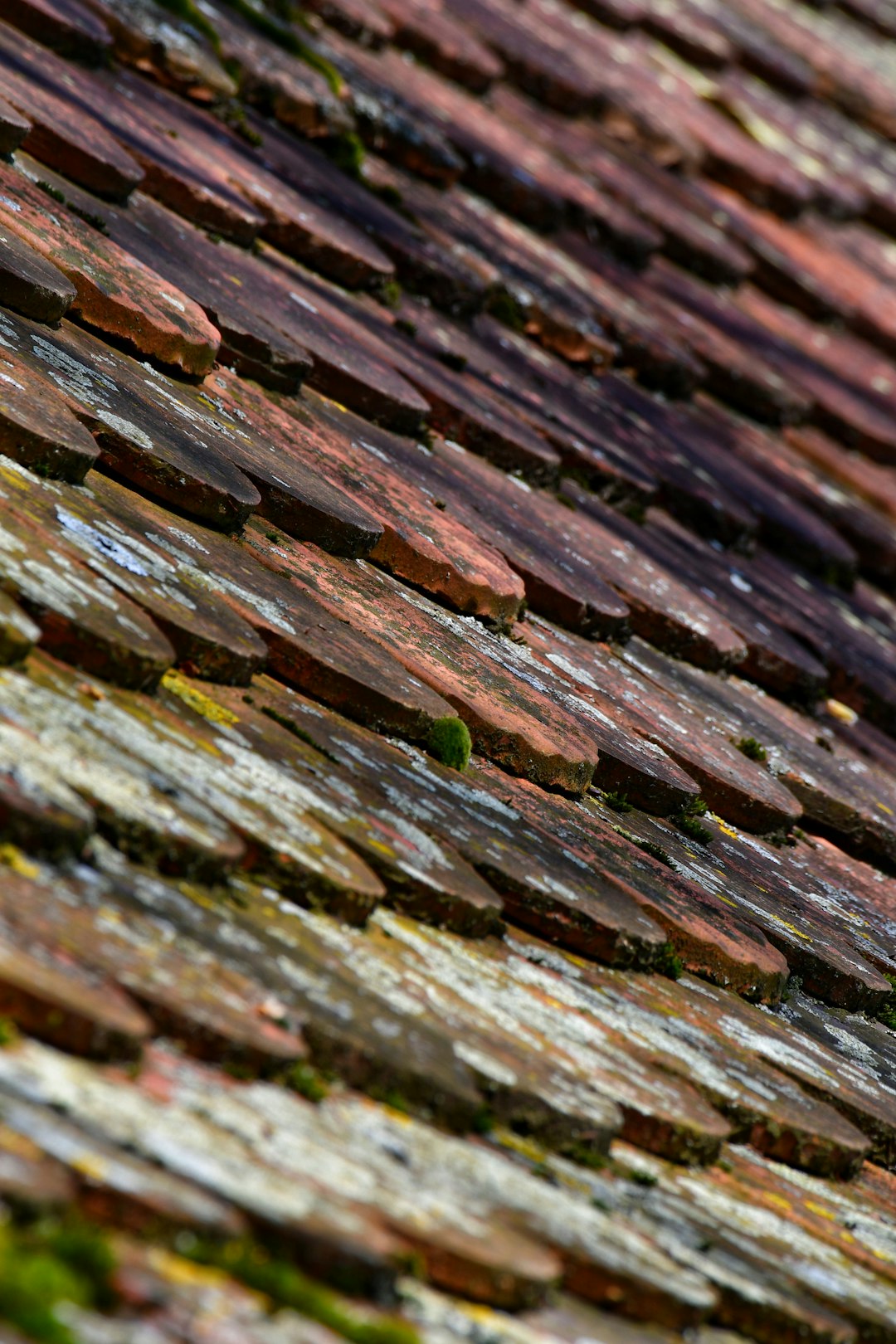 Roof Water Damage Repair Cost Guide: Materials & Insurance Claims