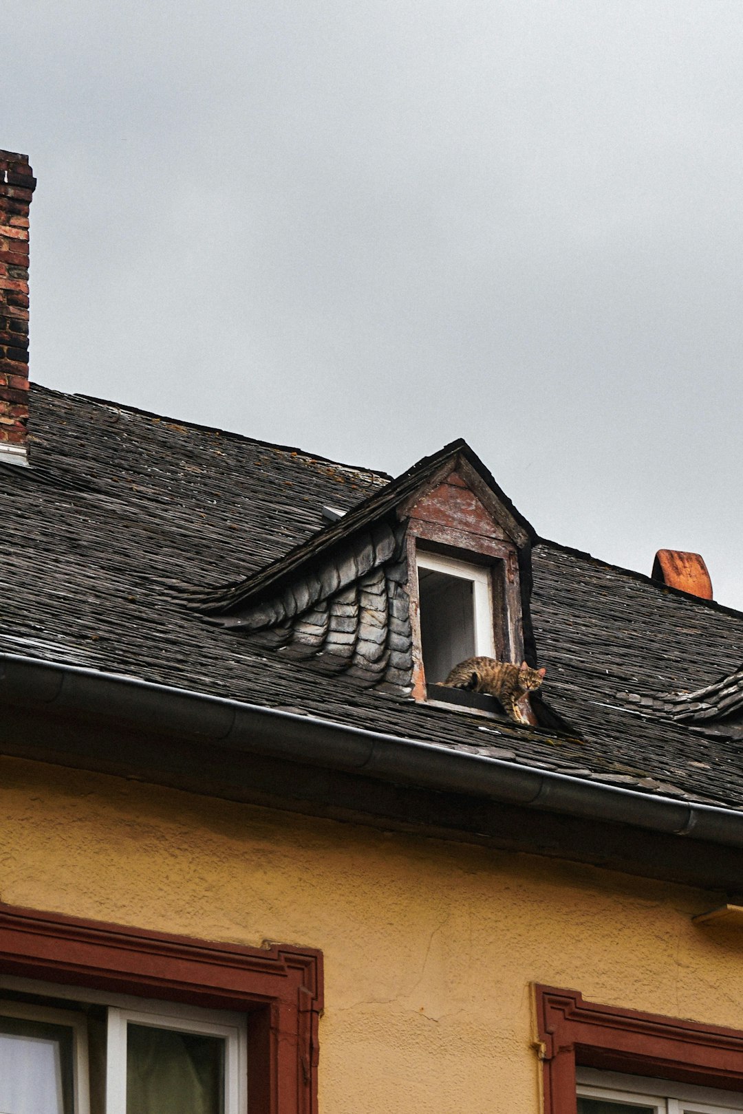 Roofers and Insurance Claims: Storm Damage Guide