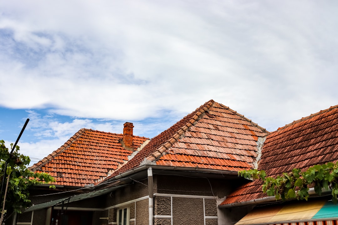 Roofers Near Me: Find Trusted Local Contractors & Avoid Costly Mistakes
