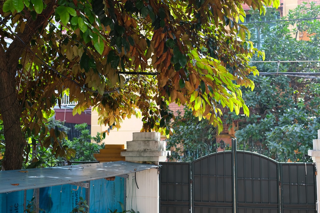 Roofing and Siding Financing: Smart Homeowner Loan Options