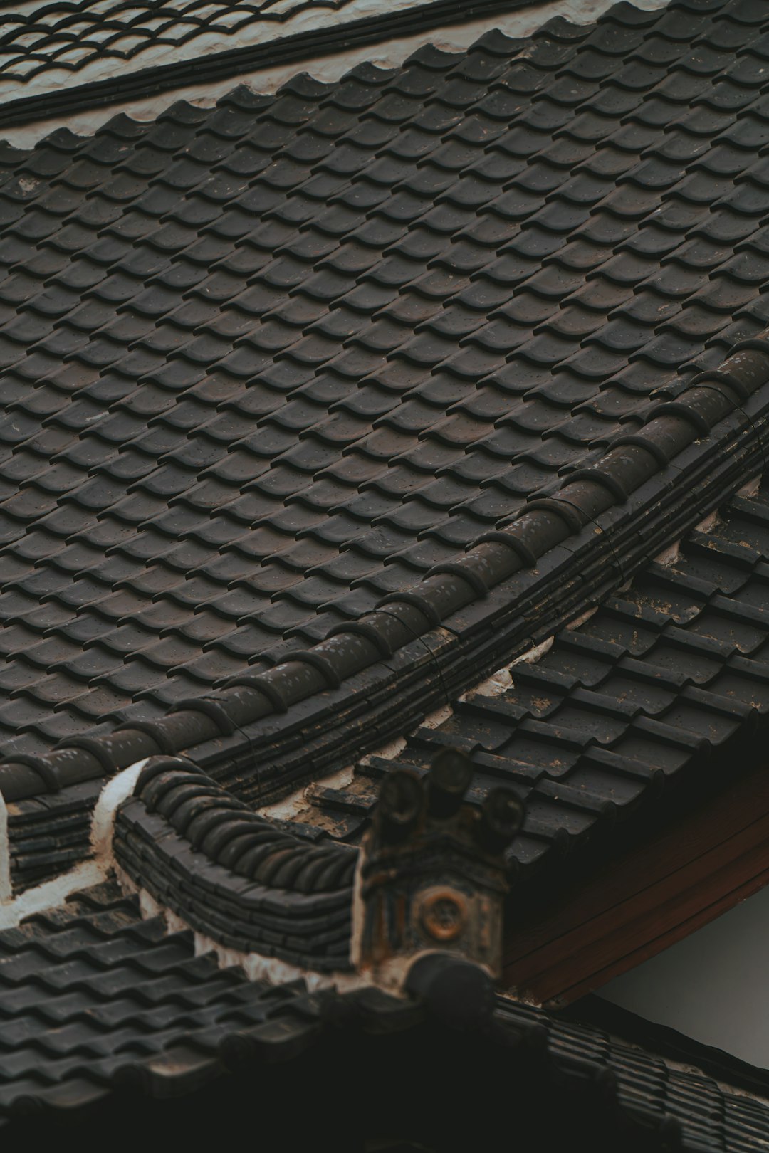 Roofing Companies with Financing Options: Expert Guide to Affordable Roof Repair