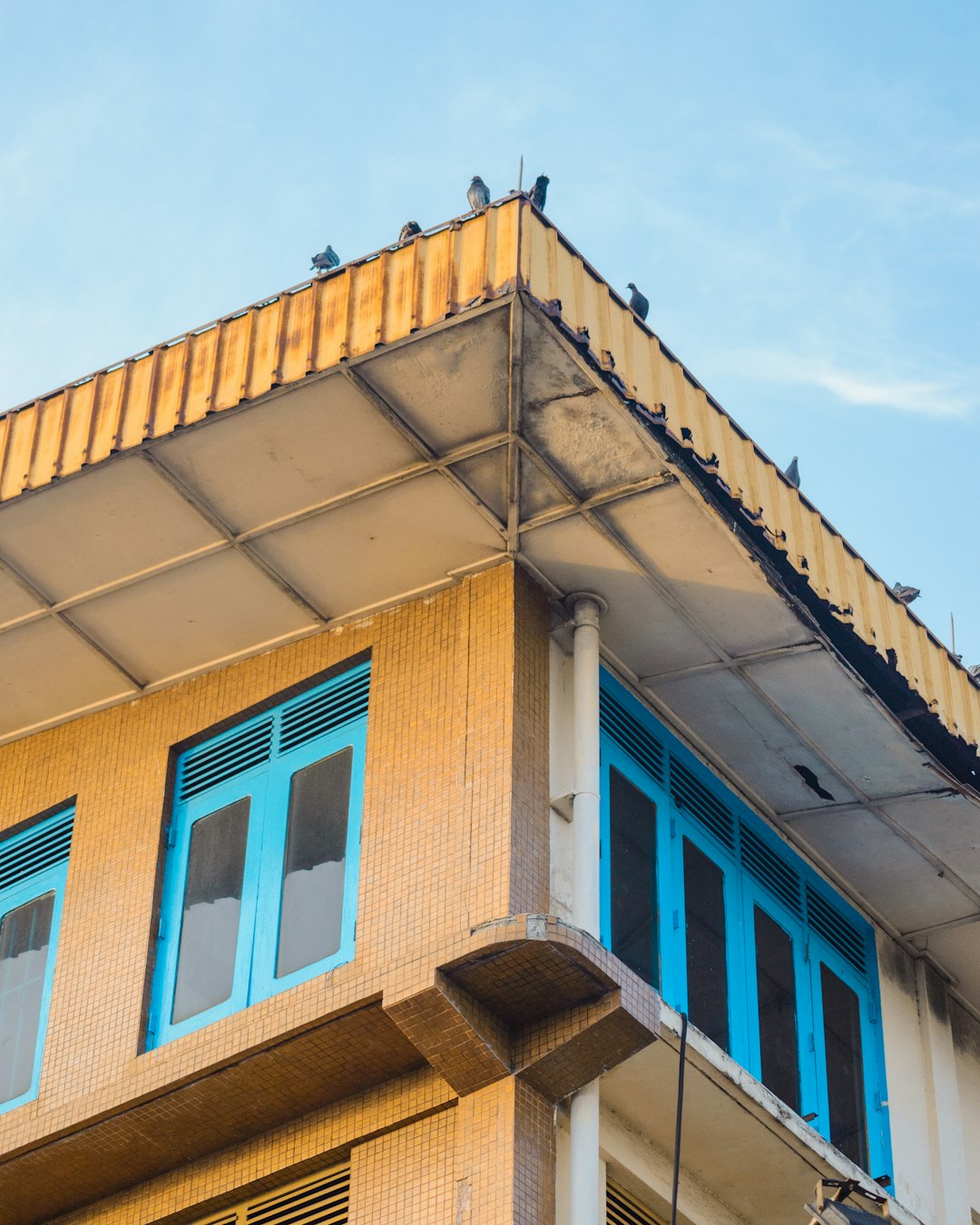 Roofing Companies That Offer Financing: Expert Guide & Options