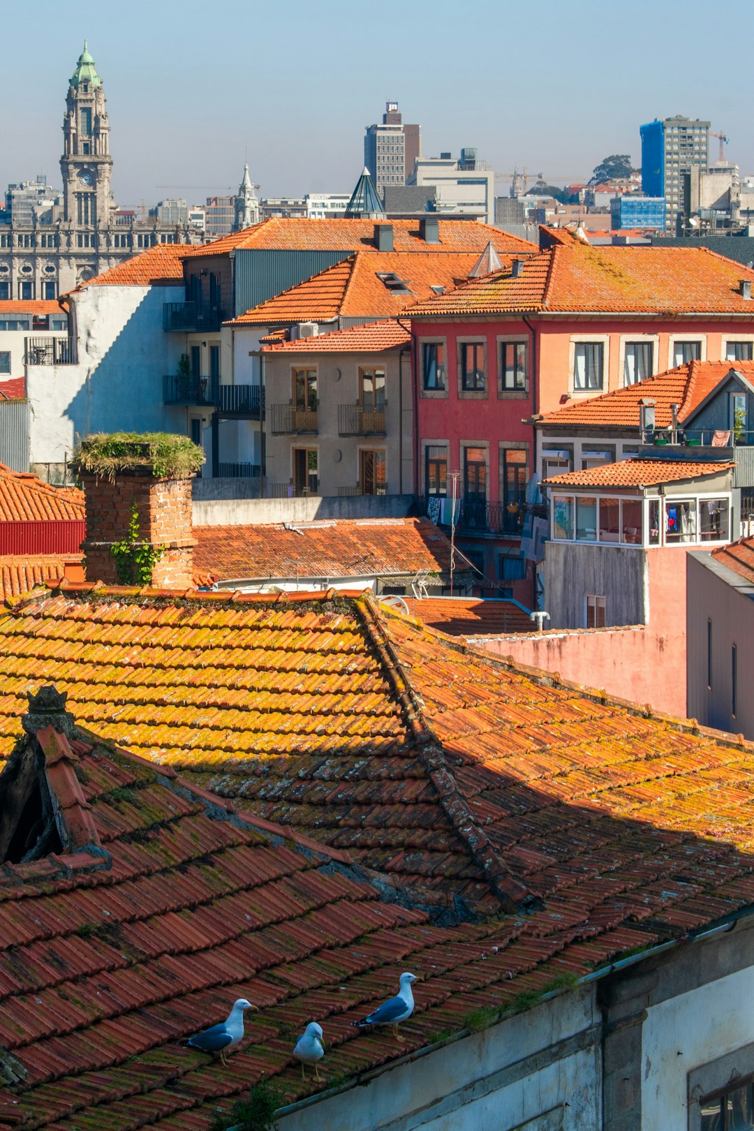 Roofing Companies That Offer Financing | Payment Plans & Options