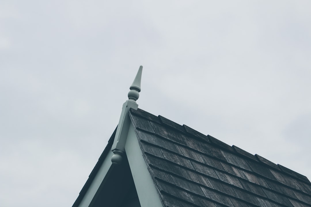 Roofing Insurance Company Guide: Storm Damage Claims & Repair Costs