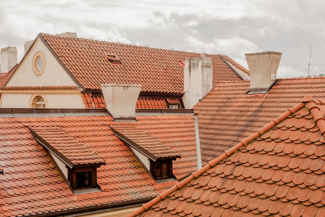 Roofing Insurance Company Guide: Storm Damage Claims & Repair