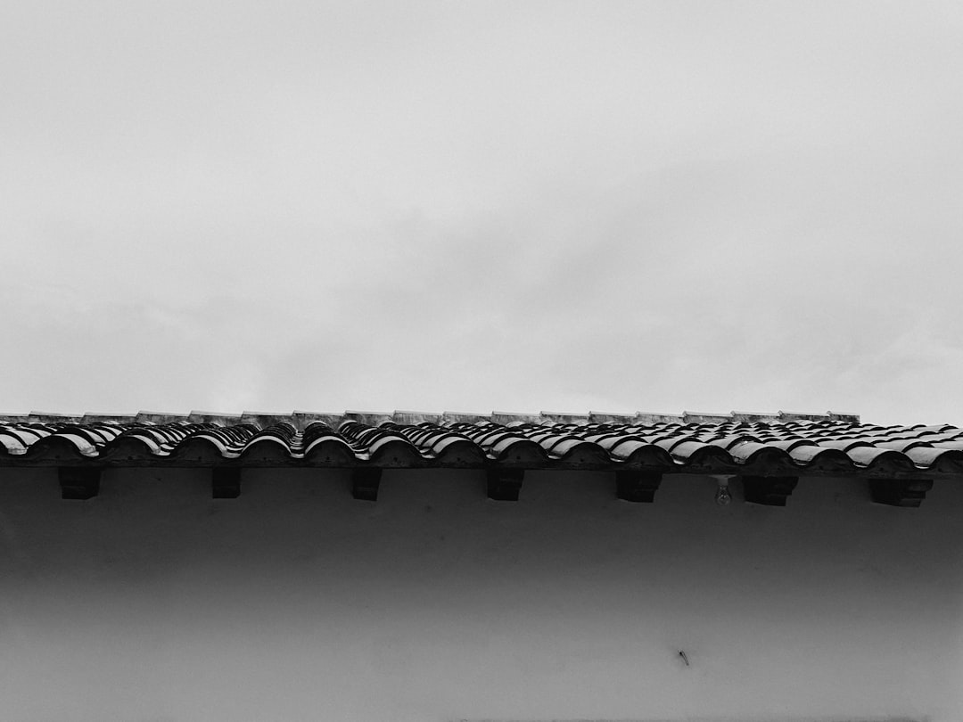 Roofnest Condor XL Solar Panel: Power Your Home with Rooftop Energy