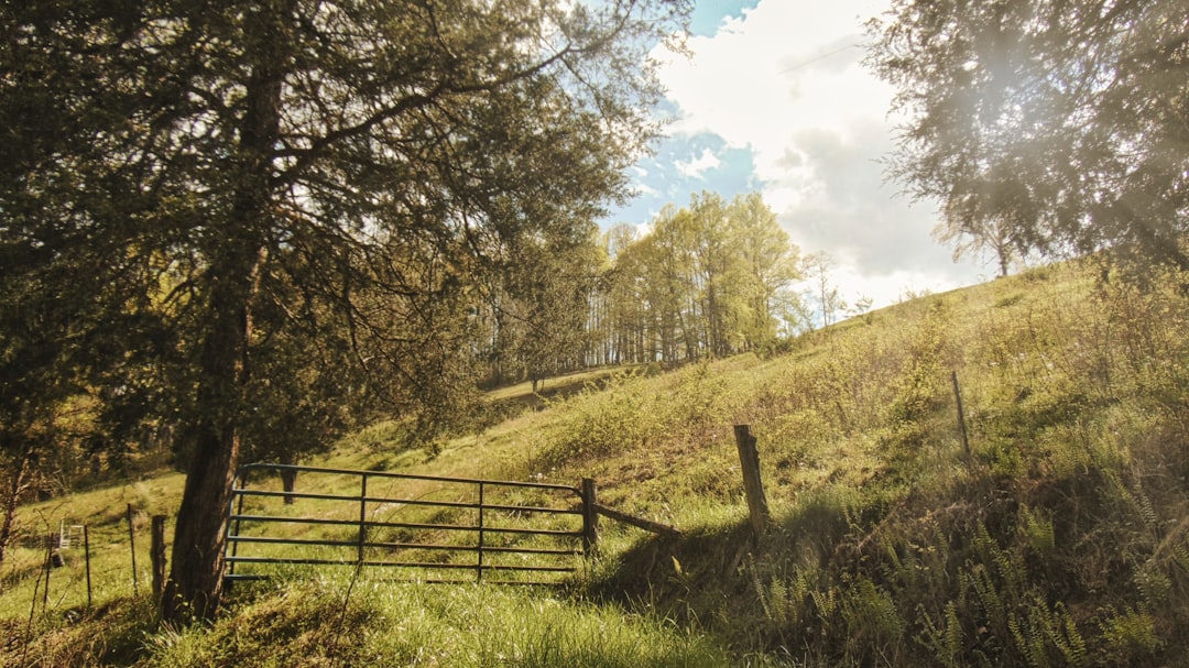Rural Air Crisis: Sunday Deadline Looms