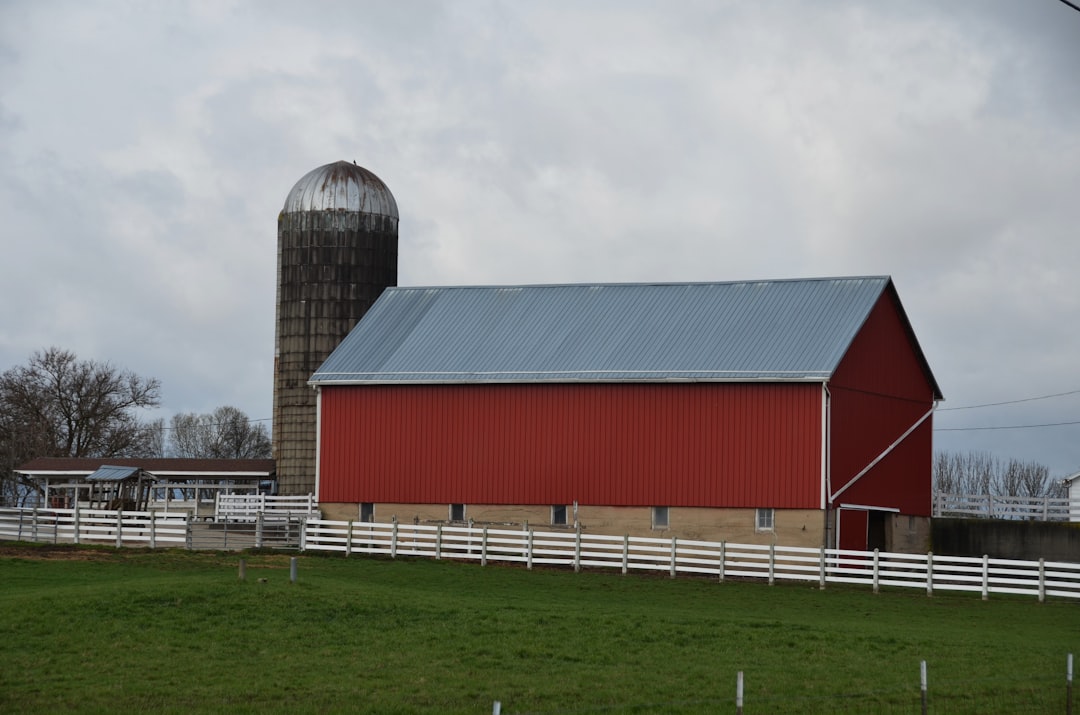 Rural Air Travel Crisis: Sunday Deadline Looms